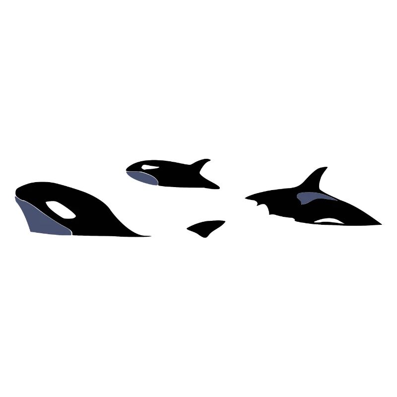 Orcas