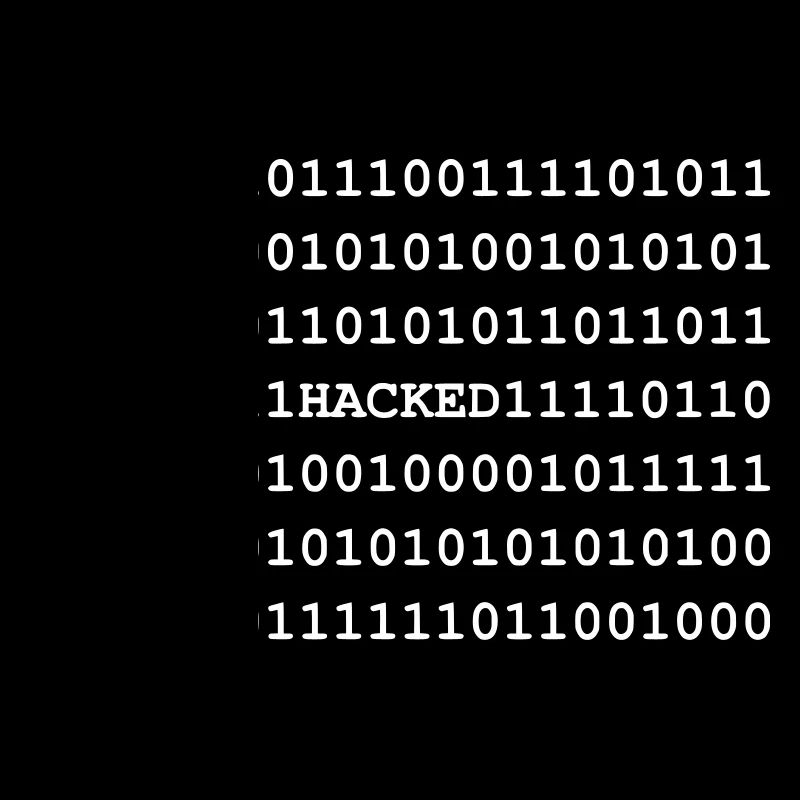 Hacked - Hacker - Nerd - Noob - Matrix