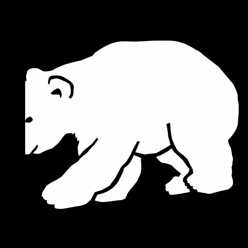 Polar bear Knut Polar