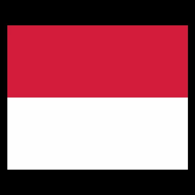 Monaco flag / Drapeau Monaco