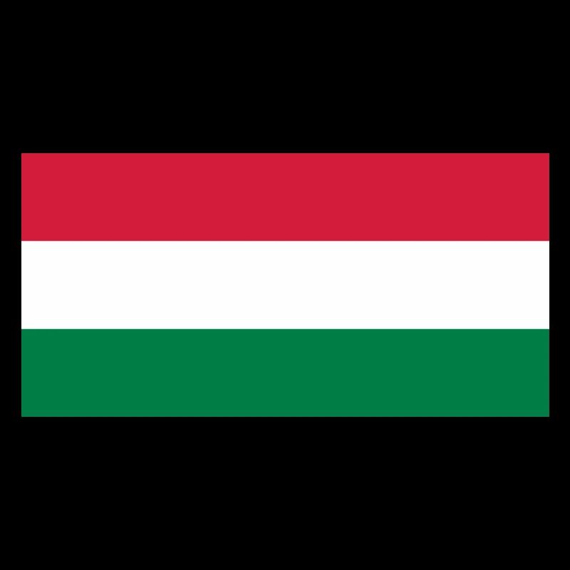 Flagge Ungarn / Drapeau Hongrie