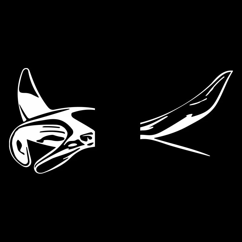 Manta Rochen