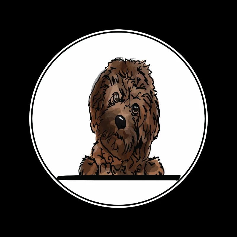 Cavapoo Dog for Peeking Dog Lovers