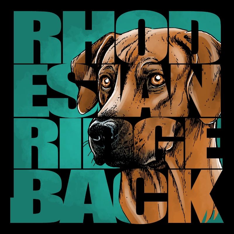 Rhodesian Ridgeback