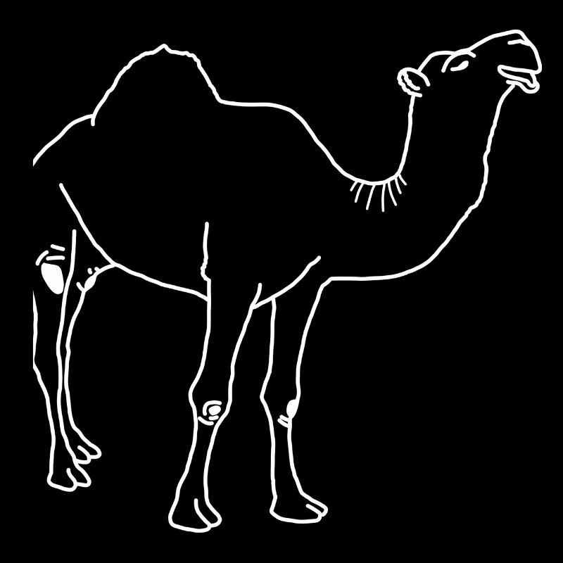 Dromedary lineart