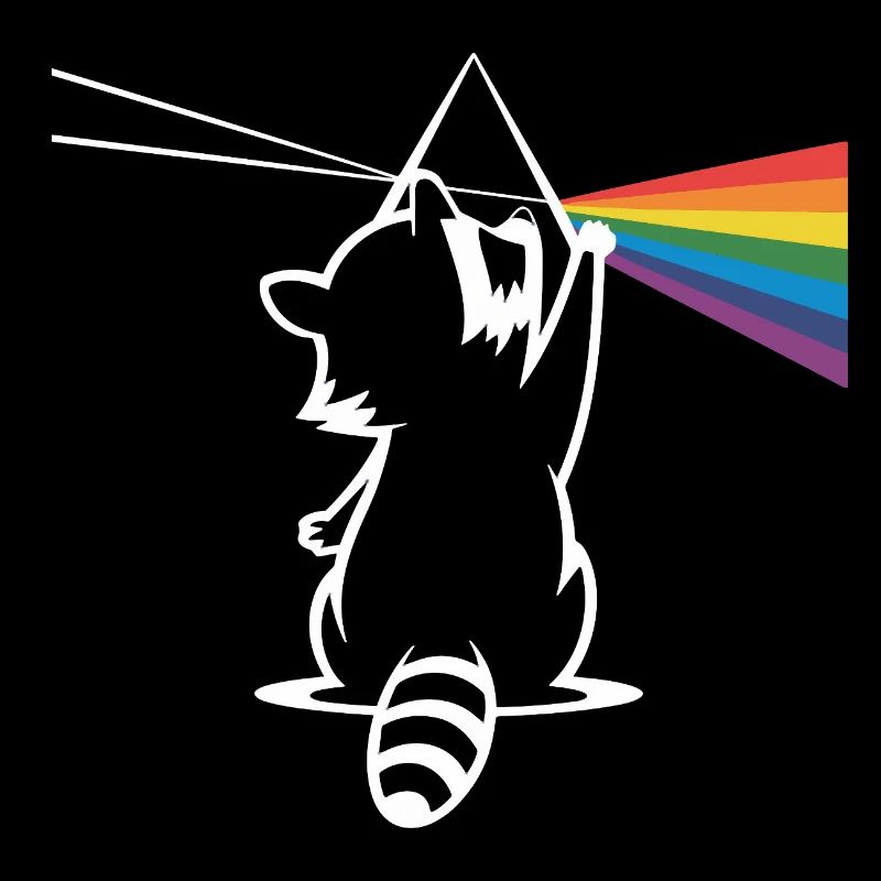 Waschbär Mit Prisma Und Regenbogen Spektrum