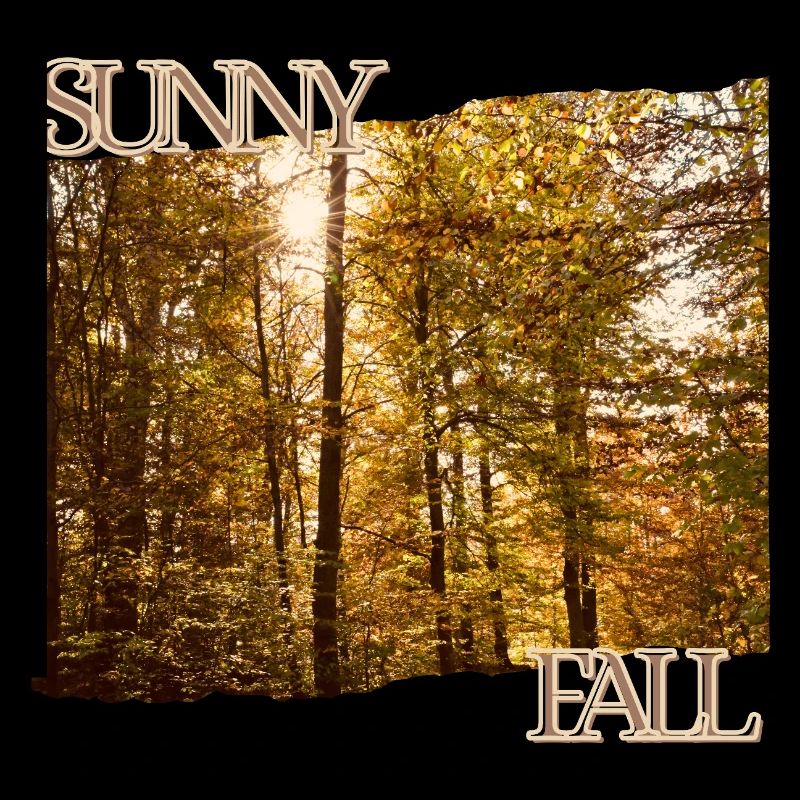 Sunny Fall - Herbstsonne im Wald