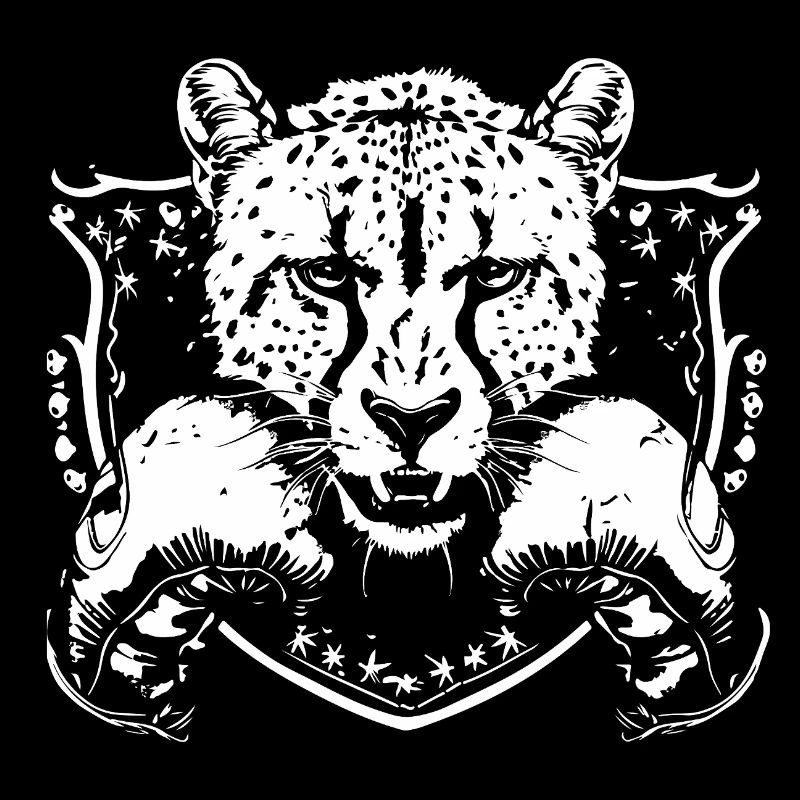 Boxe Guépard MMA