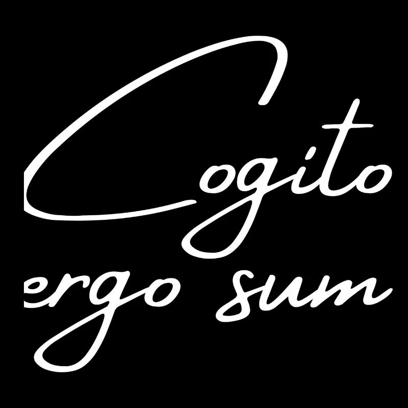 Cogito ergo sum - Ich denke also bin ich