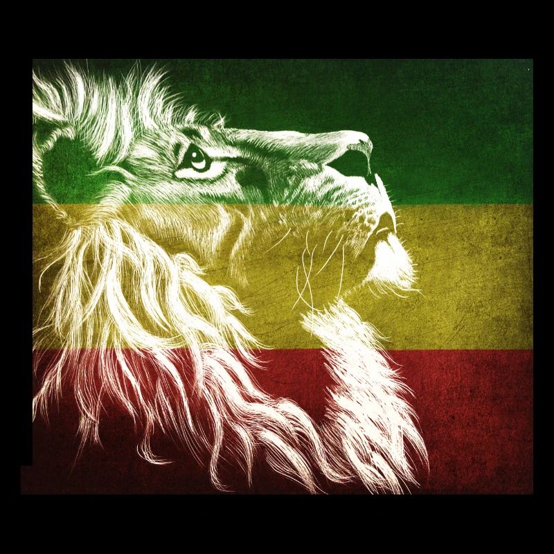 Reggae Lion Flag Art