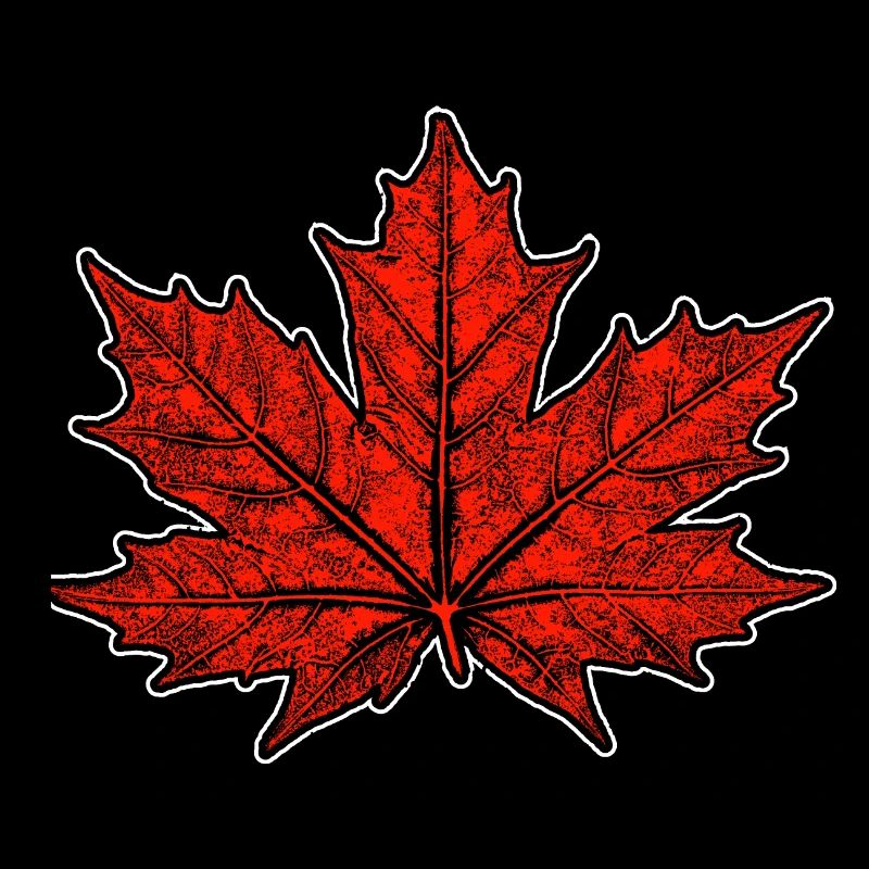 Maple / Leaf