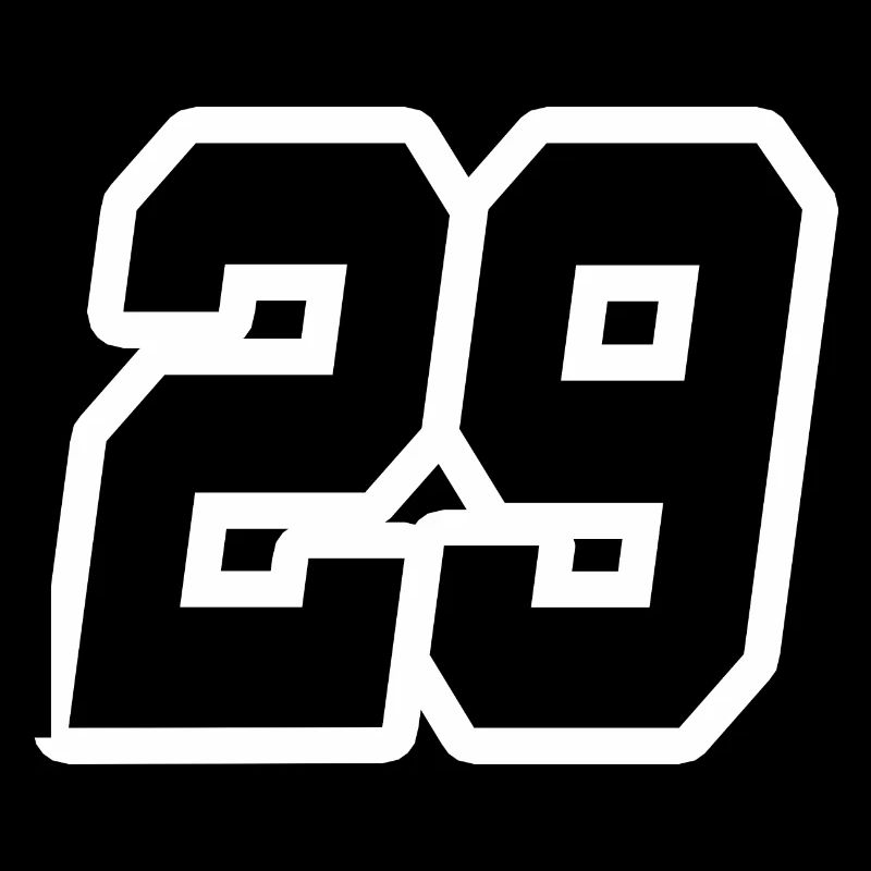 NUMMER NEUNUNDZWANZIG 29