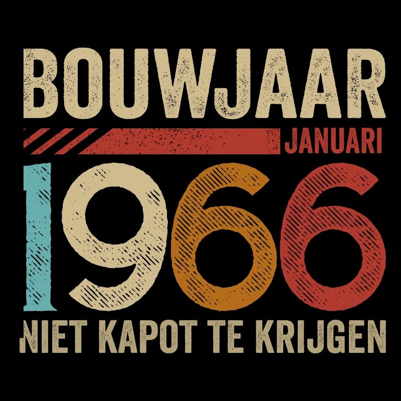 Année de construction : janvier 1966 ne peut être annulée