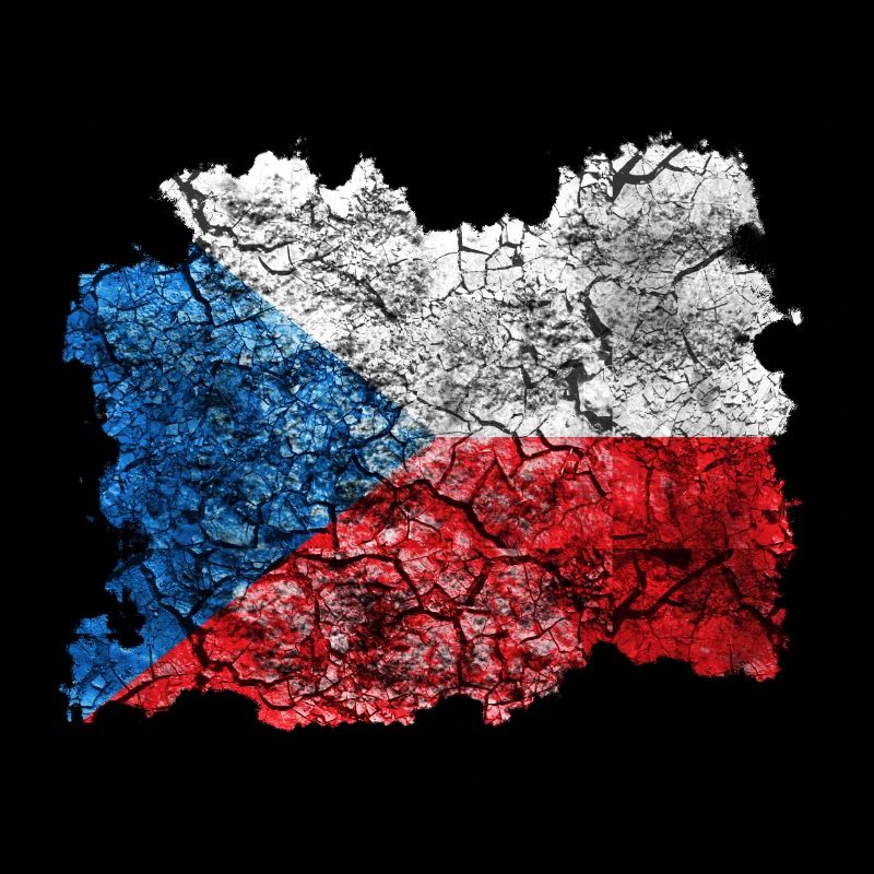 Czech Republic vintage flag