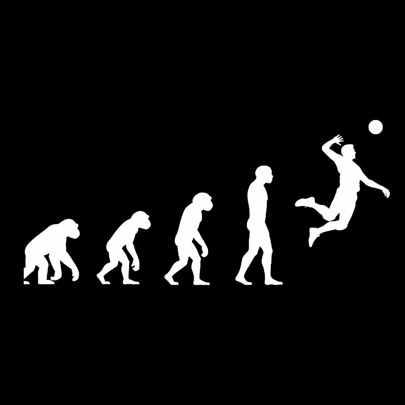 Volley-ball Evolution