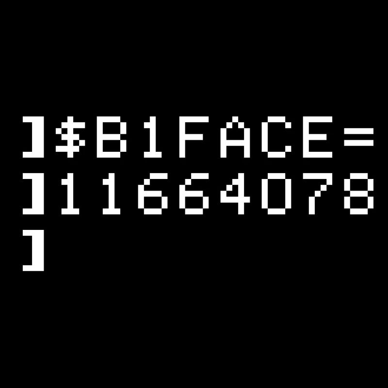 B1FACE Biface Code hexadécimal 8 bits Geek
