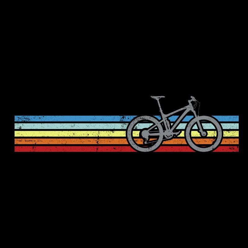 Bicyclette Rainbow Stripes