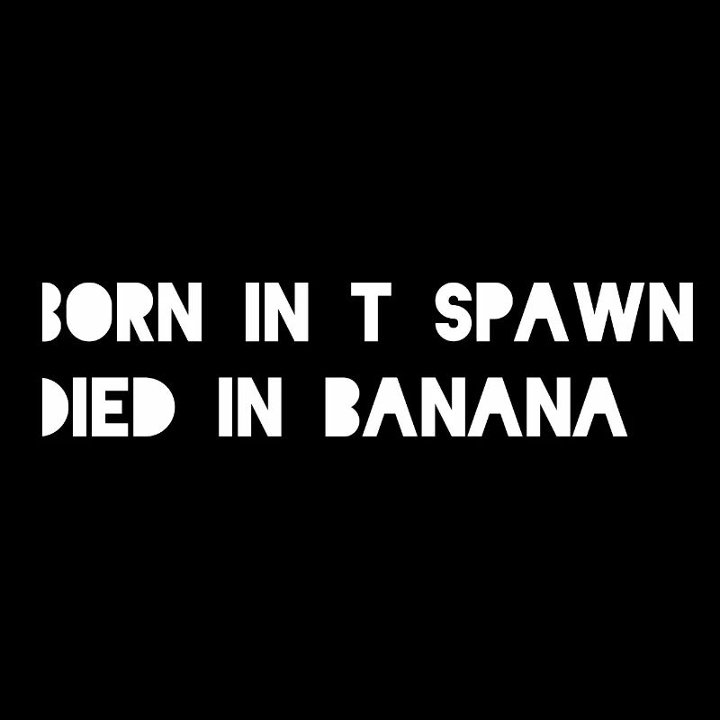 CS2_Born_in_T_Spawn