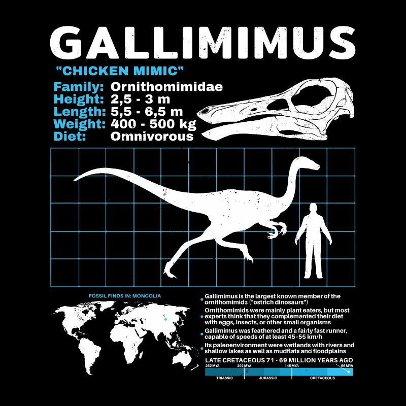 Gallimimus Fact Sheet