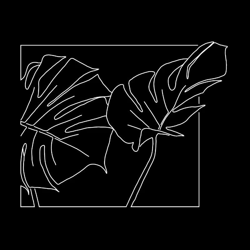 Monstera Leafs in white