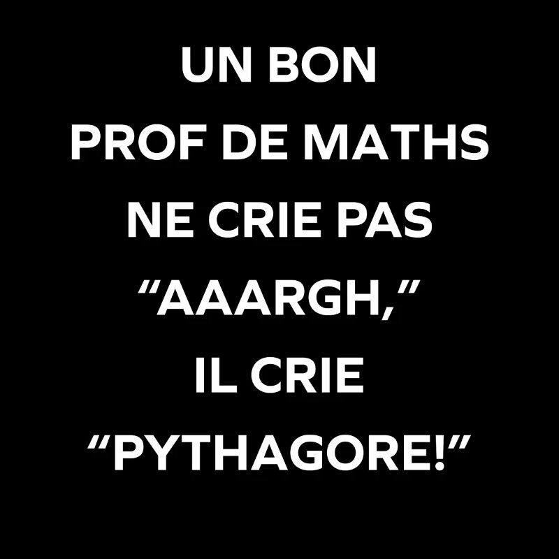 Prof de maths crie Pythagore