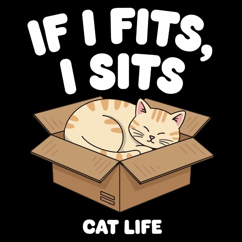 If it fits, cat sits in a box