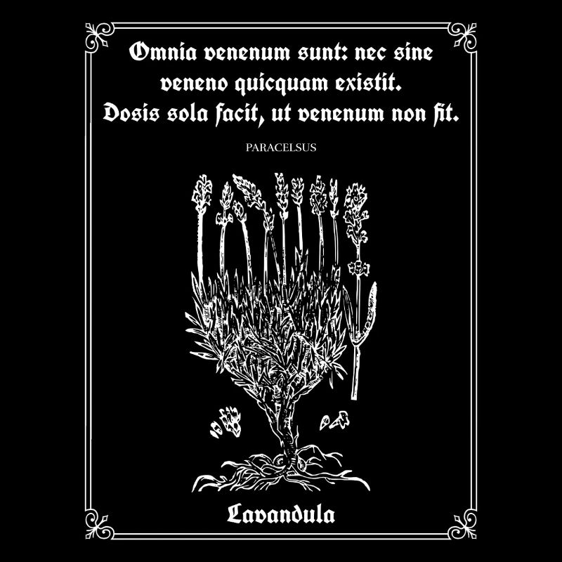 Citation latine de Paracelse – Illustration de lavande