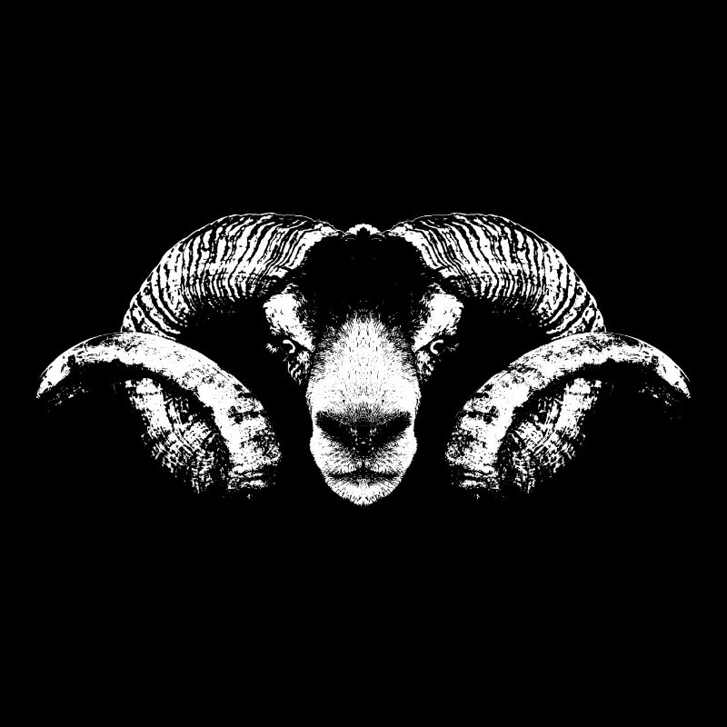 Aries / Portrait / White / Head