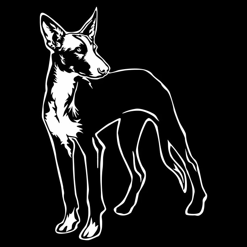Podenco "Black Edition"