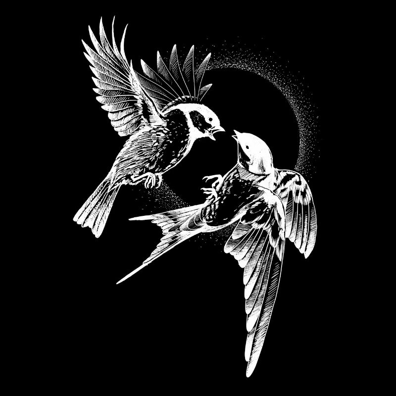 Inversion de combat d’oiseaux