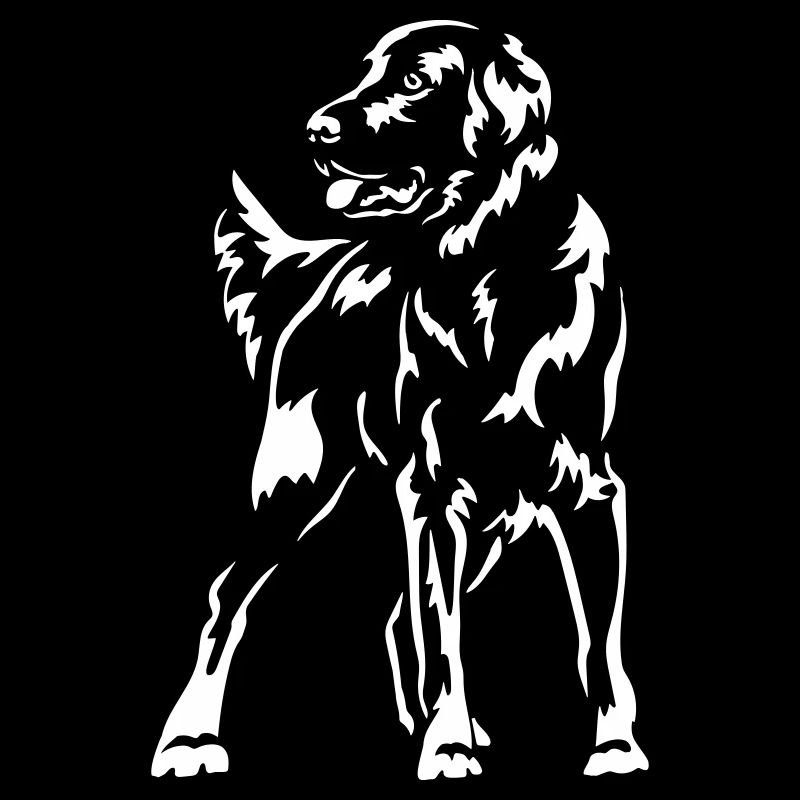 Flat-coated Retriever "Black Edition"