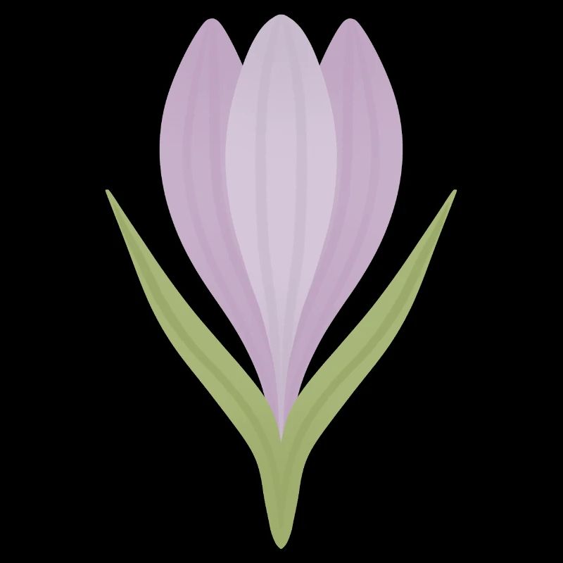 Illustration de la fleur de crocus lilas