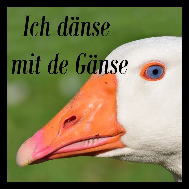 Ich dänse mit de Gänse