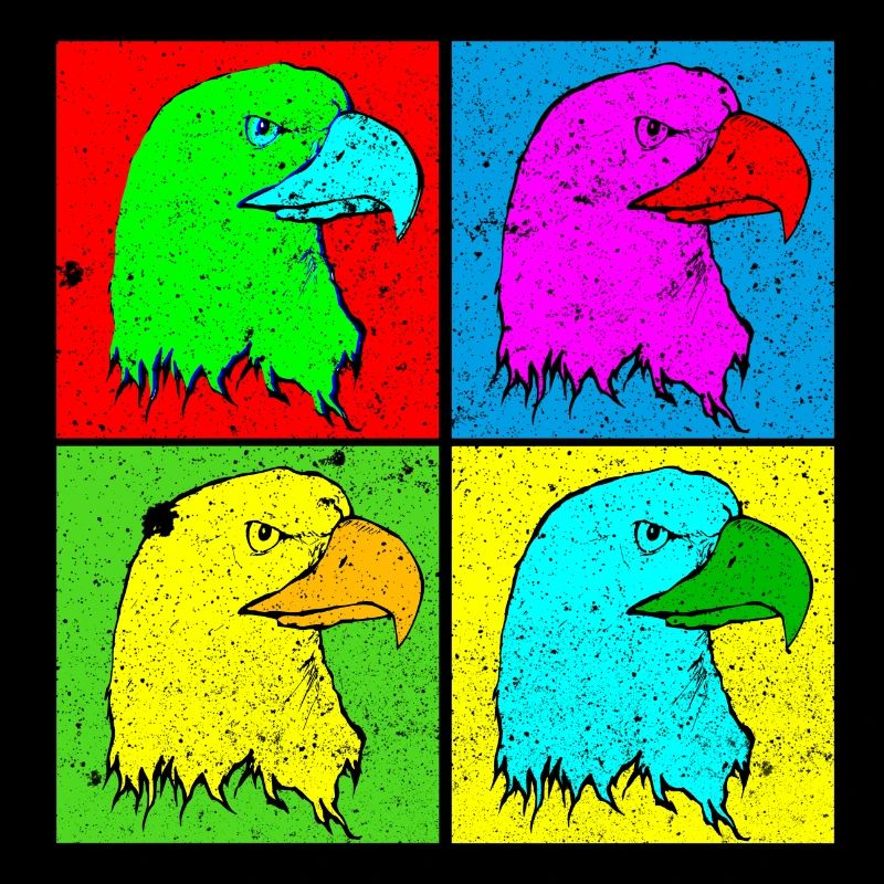 Eagle Eagle Head Four Colors Tshirt