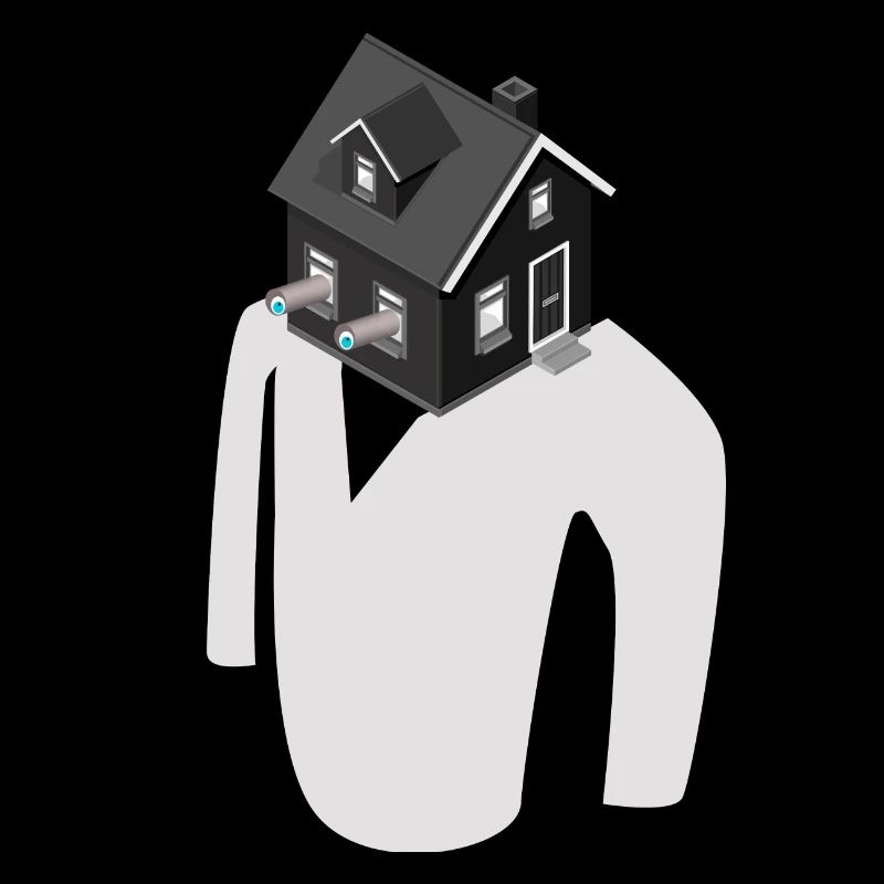Cadeau de construction de maison d'observation