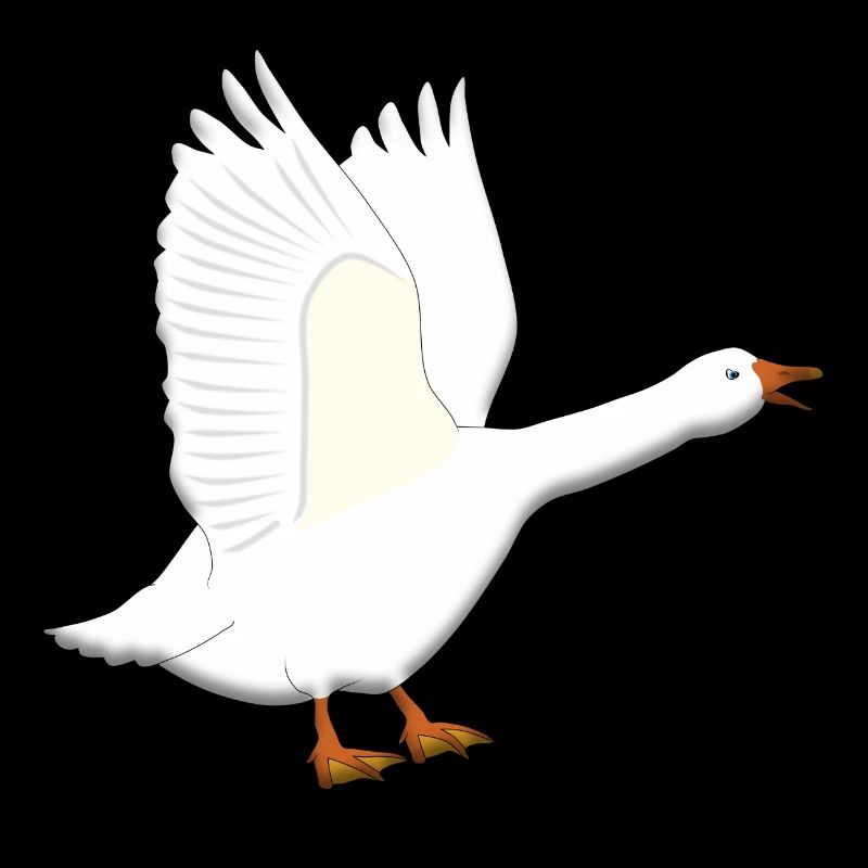 Goose est acide