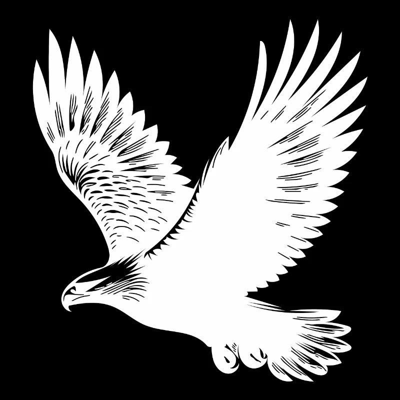 Aigle élégant sur d’immenses ailes