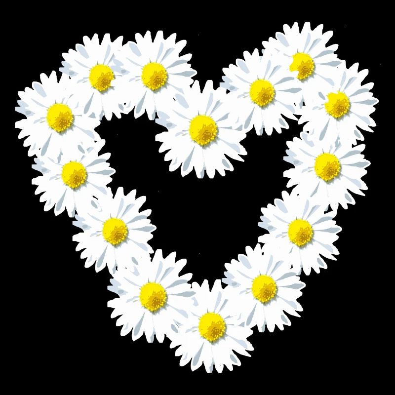 Herz Gänseblume Gänseblümchen Herzlich