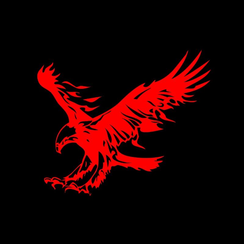 Aigle rouge feu
