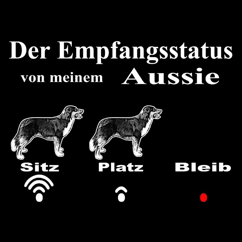 WLAN Aussie1