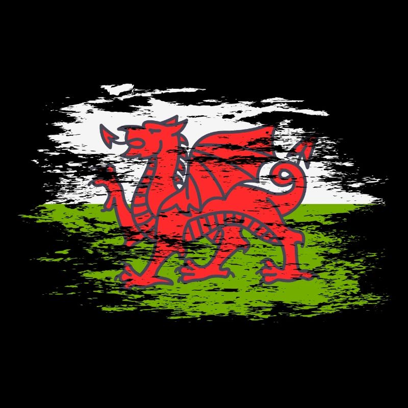 Wales Flagge used