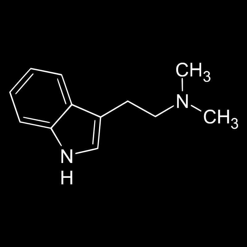 DMT Spirit Molecule Hallucinogène Conscience Psych