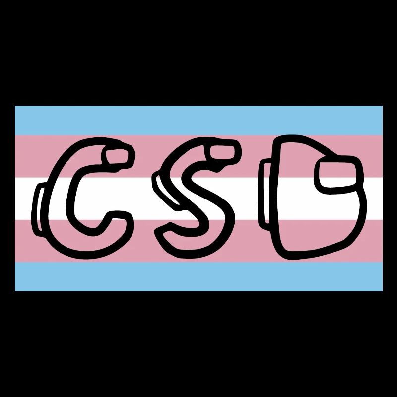 trans pride flag csd