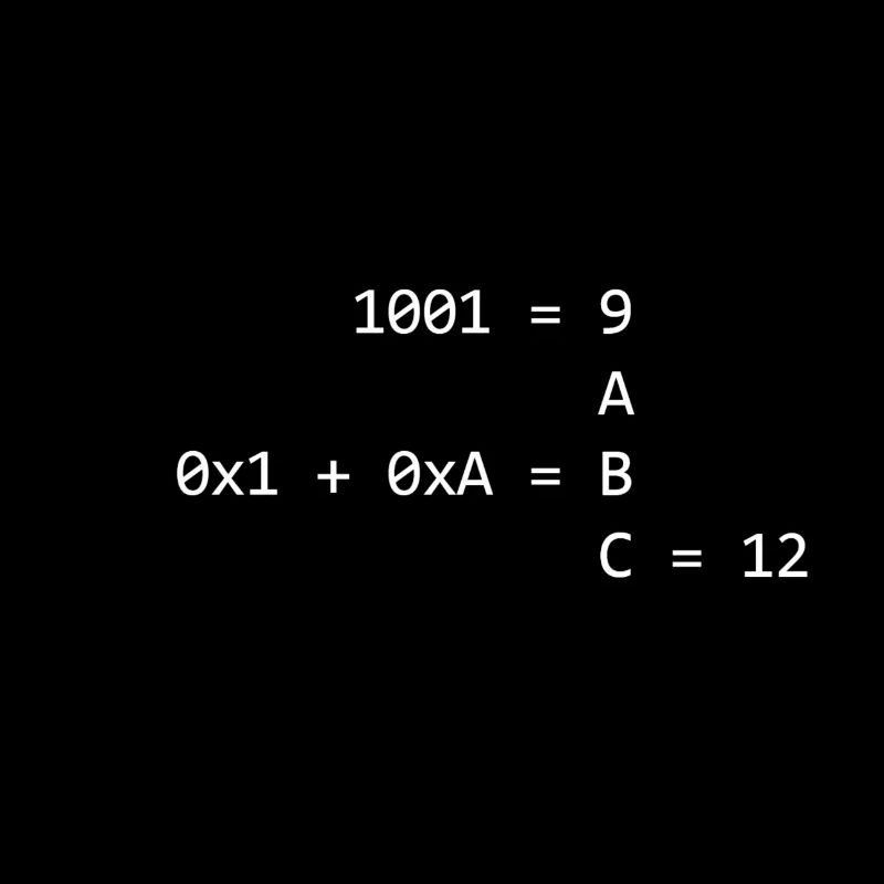 Les systèmes de numération expliqués
