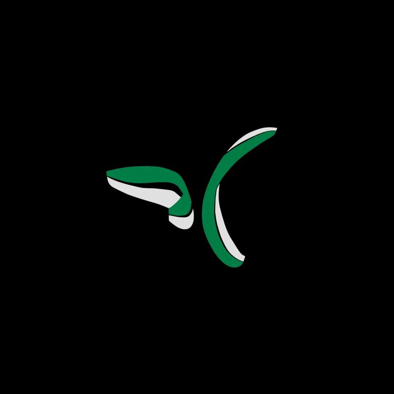 Parapente Synchro Spiral