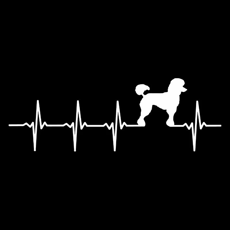 Poodle - heart beat