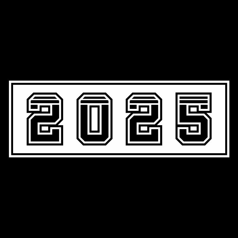 2025 year