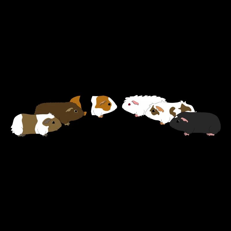 six guinea pigs 2