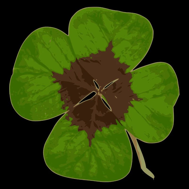 Trèfle à 4 feuilles