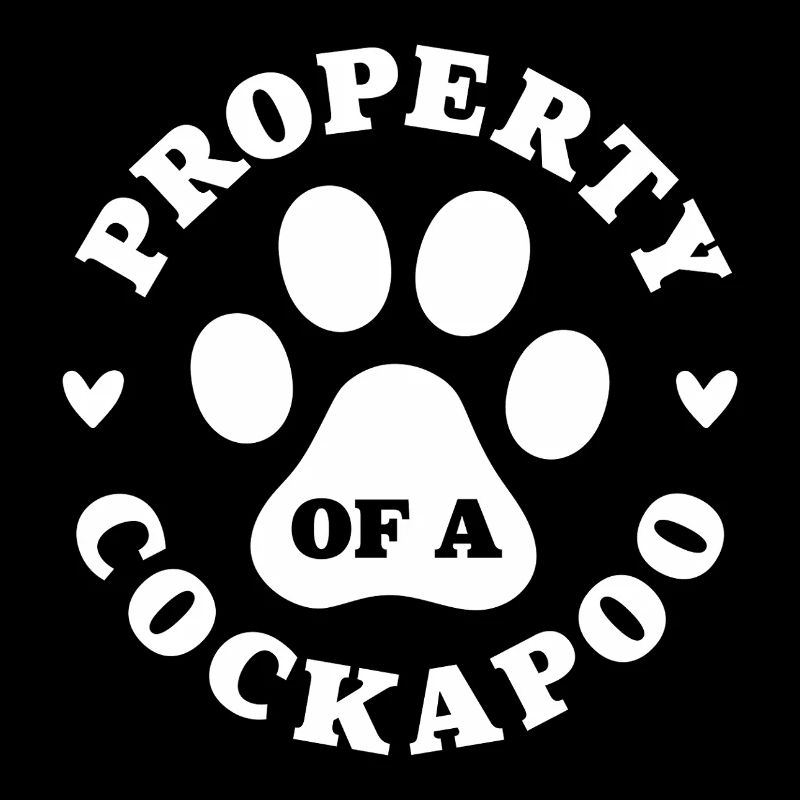 Eigentum eines Cockapoo